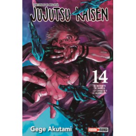 Jujutsu Kaisen 14